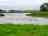Redwood Rare Breeds Campsite: Ducks on the lake (photo added by manager on 15/07/2024)