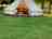 Field View Luxury Glamping: Bell tent exterior