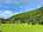 Camping Denntal: Neatly kept grass pitches (photo added by manager on 07/01/2024)