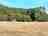 The Old Barn Campsite: Site