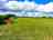 Wilton Farm: Visitor image of the field