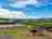 Wheeldon Farm: Park, Pitches and views