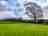 Jalna Caravan and Camping