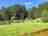 Tayview Lodges: Lovely grassy spaces between lodges.