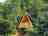 Whitlingham Broad Campsite: High up in the trees your woodland holiday home 