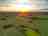 Sunnyside Campsite: Around the site (photo added by manager on 24/06/2025)