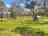 Maddara Organic Farm and Art: Camping areas in the paddock 