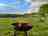 Wolford Wood: Plenty of open space 