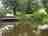 Riverside Paddle and Stay: Wild swimming area