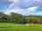 Middle Ruckham Camping: Horses grazing in the fields