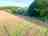 Willow Farm Camp Site: Pitches (photo added by manager on 15/07/2024)