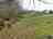 Meldon Lake and Woods: Pitches