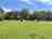 Croft Lane Green Camping （经理于2021年6月27日添加的照片）