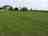 Wellwood Farm: Green surrounds