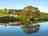 Under the Oak Glamping: The pond