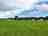 Royal Standard Campsite Gwinear: Visitor image of the lovely space for camping