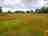 Innisfree Eco Camping: Dorset country views (photo added by manager on 30/08/2023)