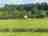 Camping Nottinghamshire