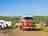 Petruth Paddocks: Welcome to the site