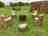Oaktree: Firepit area (photo added by manager on 05/20/2021)