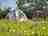 Wern Meadow Glamping Escape (Foto hochgeladen vom Platzbetreiber am 25.08.2025)
