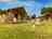 Oak Tree Farm Park: Safari tents