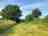 Maggie's Field Campsite