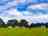 Sussex Topiary Campsite （经理于2022年9月23日添加的照片）
