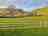 Treaks Pringle Camping: Camping field 
