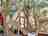 TeaCampa: Safari tent surrounded by trees