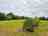 Cummins Farm Campsite: Spacious camping field with no allocated pitches (photo added by manager on 06/05/2025)