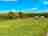 Tal-y-Fan Farm: Views from the pitches 