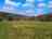 Čechův Mlýn: Meadow
