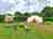 Little Bull Hill: The campsite