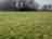 Daisy's Farm: Grassy pitches