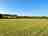 Charlynch Meadow Camping: Camping field with views of Charlynch (photo added by manager on 06/05/2023)