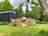 Little Firs: Little Firs setting