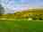Runnis Meadow Camping