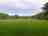 The Daggles: The site in early June