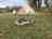 Lampeter Caravan and Camping: Bell tent