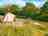 Middle Corscombe Farm: Camping pitch 