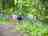 St Ives Holiday Village: Set in over 100 acres of woodland on the edge of St Ives (photo added by manager on 06/14/2016)