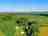Wakestone and Wild Glamping: Aerial view of the site