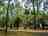 BIG4 Breeze Holiday Parks - Carnarvon Gorge: Unpowered site 