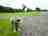 Pitch and Canvas