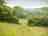 Park Hill Farm: Park Hill Farm's views are lovely, with fully grown hedges and long grasses 