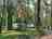 Campingplatz am Leppinsee: Pitches among the trees