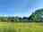 Cornbury Rise Camping: Wild pitch with Cornbury views (photo added by manager on 06/23/2025)