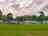 Rhea Farm and Fishery