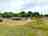 Trinity Farm Organic Camping